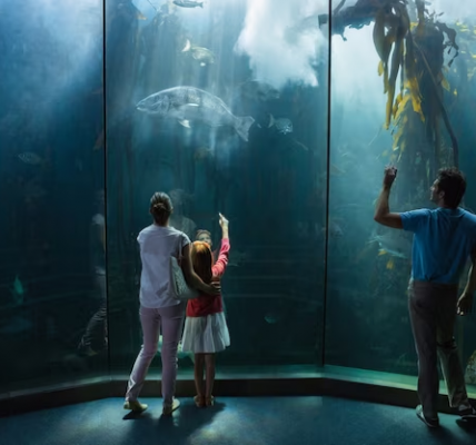 Explore Atlantis Dubai without booking a stay - a guide to the best attractions and experiences