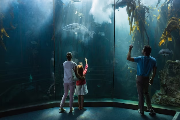 Explore Atlantis Dubai without booking a stay - a guide to the best attractions and experiences
